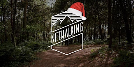 Netwalking: December primary image