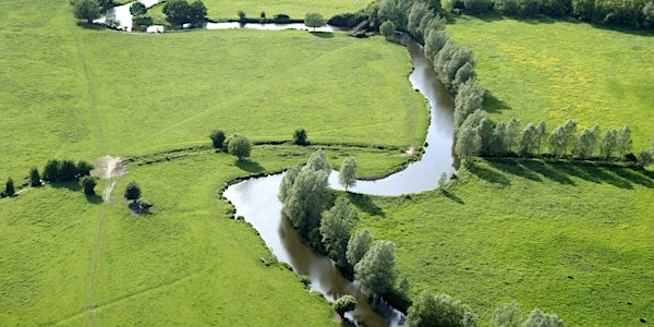 River Stour Walks - 2018
