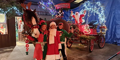 Come and meet Santa and Rudolph the red nosed Clydesdale