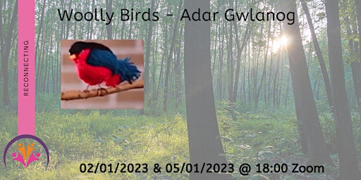 Woolly Birds - Adar Gwlanog