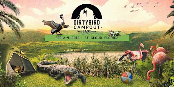 Travel & Camping Packages - Dirtybird Campout East