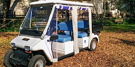 Immagine principale di Minicar Tour - Parco Appia Antica 