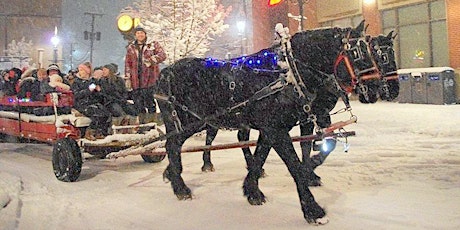 2022 Holiday Horse and Wagon Ride primary image