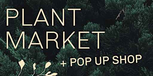 Holiday Plant Market and Pop up Shop