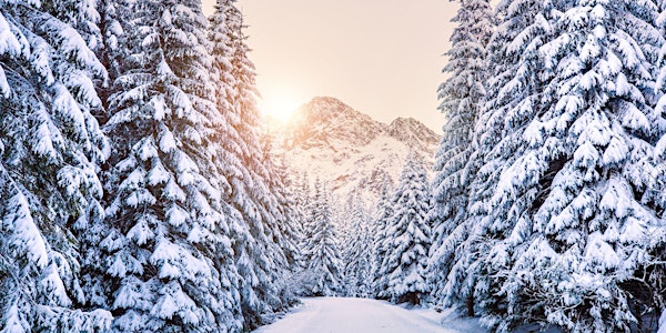 Mindfulness & Compassion with Nature Daylong Retreat