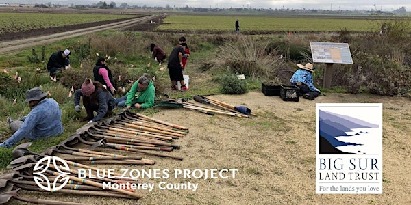 Community Planting Day with Blue Zones