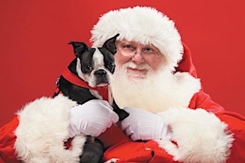 Santa is coming to the Vineyard at Hershey - Dog Photos