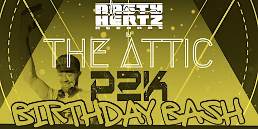 Nasty Hertz in The Attic P2K Birthday Bash