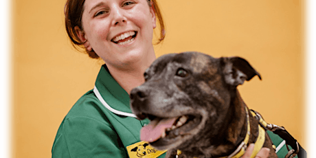 Successful Socialisation (CPD) - Dog School Essex primary image