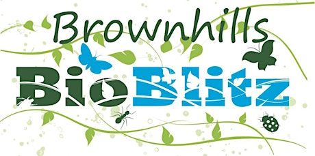 Brownhills BioBlitz primary image