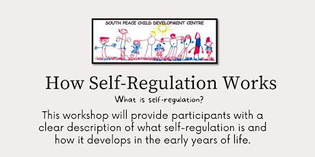 How Self Regulation Works Workshop