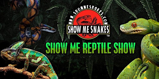 Chattanooga Reptile Expo Show Me Reptile Show