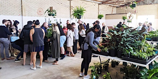 Perth – Indoor Plant Warehouse Sale – End Of Year Clearance Sale!