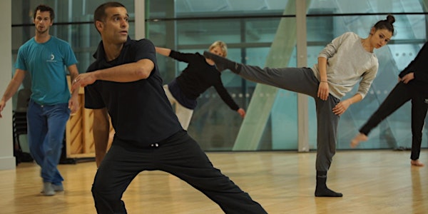 FREE Professional Level Class with Company Chameleon