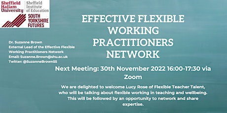 Effective Flexible Working Practitioner Network Webinar
