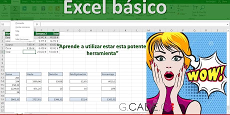 Imagen principal de Excel Básico. Fácil 