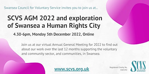 SCVS AGM 2022 and exploration of Swansea a Human Rights City