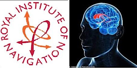 RIN Solent Branch: How The Human Brain Makes A Map Of Space primary image