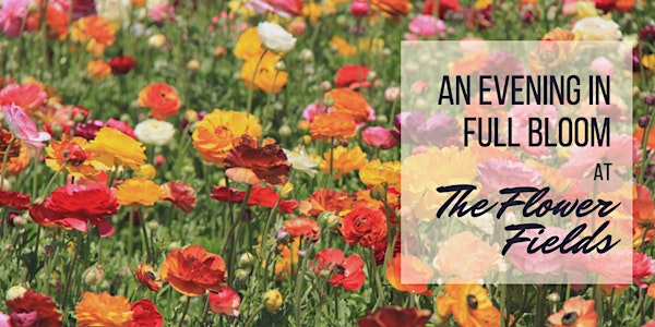 An Evening in Full Bloom Dinner - Wine, Dining & Friends at The Flower Fields