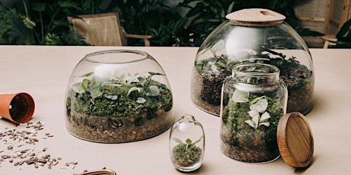 Plant Terrarium Workshop primary image