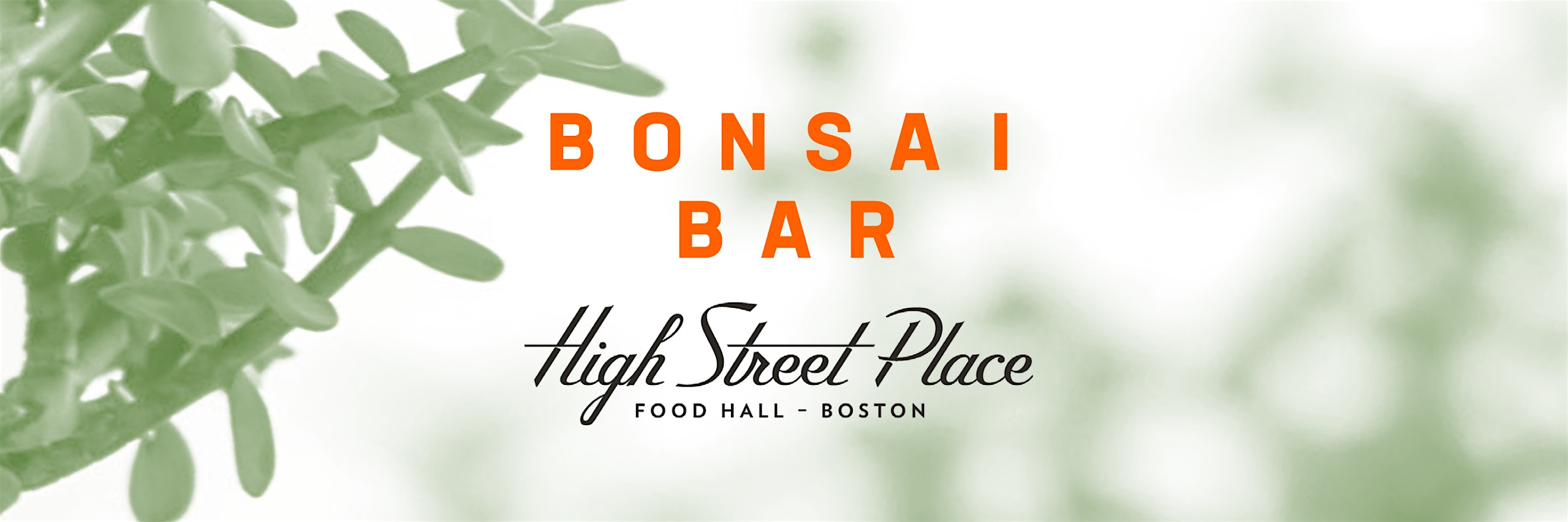 Bonsai Bar @ High Street Place – Food Hall