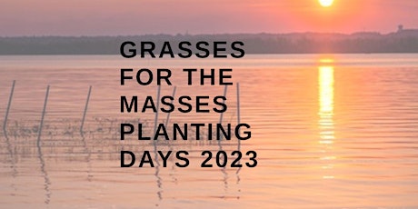 Imagem principal do evento Grasses for the Masses Planting Days