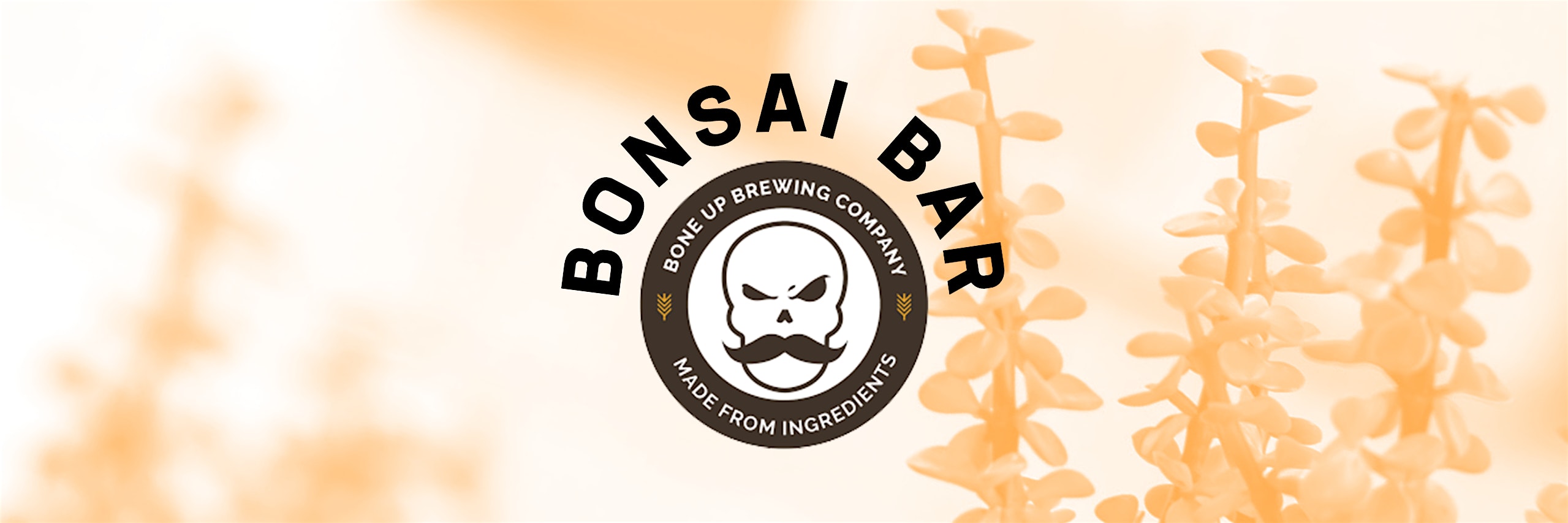 Bonsai Bar @ Bone Up Brewing