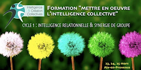 Formation Mettre en oeuvre l'Intelligence Collective