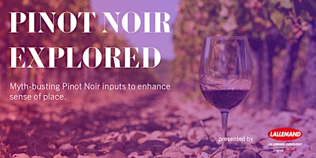 Pinot Noir Explored