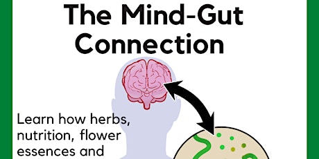The Mind/Gut Connection