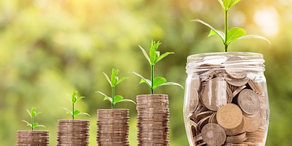 Scale-up Briefing: Raising a million and more