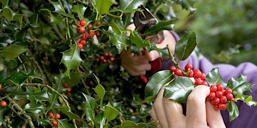 Holly-Days Wreath Making