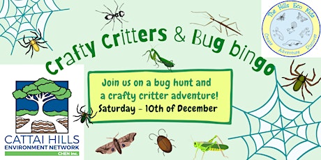 Crafty Critters and Bug Bingo! primary image