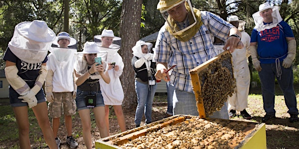 Beginning Beekeeping in Highlands County