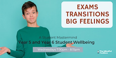 Free Student Wellbeing Mastermind: Teaching students about the brain