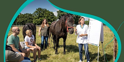 Ausbildung pferdegestütztes Coaching: Lerne uns von EQzellent kennen!