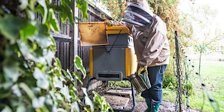 Imagen principal de Full Day Bee Keeping - Saturdays