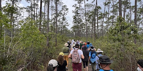 AIRIE Art Week Immersion at Everglades National Park