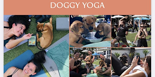 Doggy Yoga at The Eden Roc