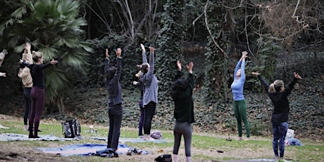Outdoor Community Yoga in Griffith Park