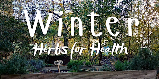 Winter Herbs for Health