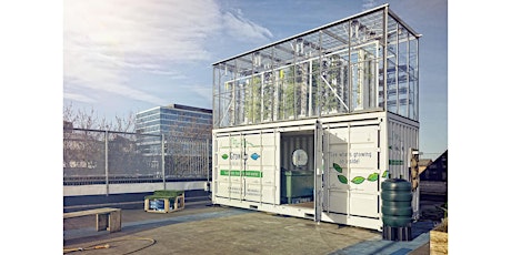 The GrowUp Box Tour - A rooftop aquaponic urban farm!  primary image