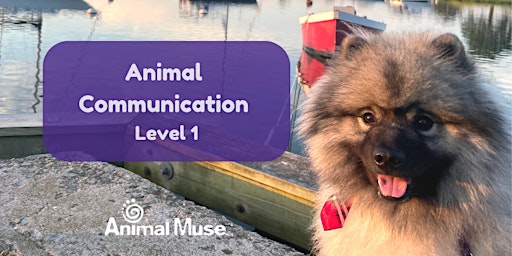 Animal Communication Level 1