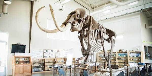 Fossil Discovery Center - Chowcilla, CA
