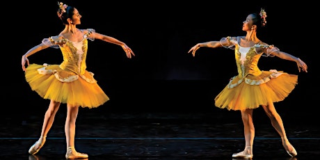 Pull Back the Curtain Speaker Series: Margaret Carlson, Verb Ballets