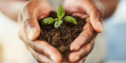 Grow a Little Green Business - free online workshop