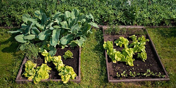 Growing Practices for a Resilient Food Garden