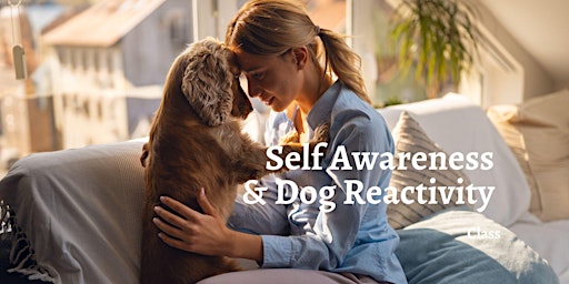Self Awareness & Reactivity in Dog Training