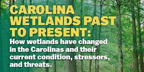 Carolina Wetlands Past to Present