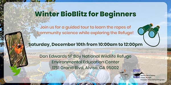 Winter BioBlitz for Beginners